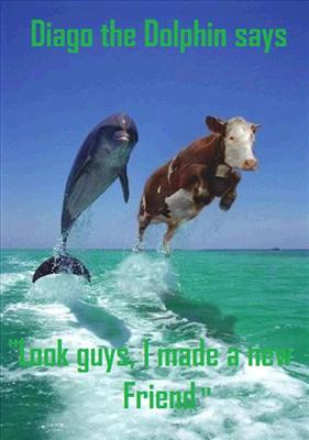 Diago the dolphin and friend