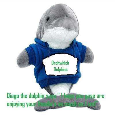 Diago the dolphin Hoodie
