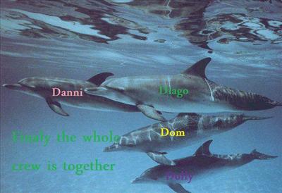 Diago and the crew