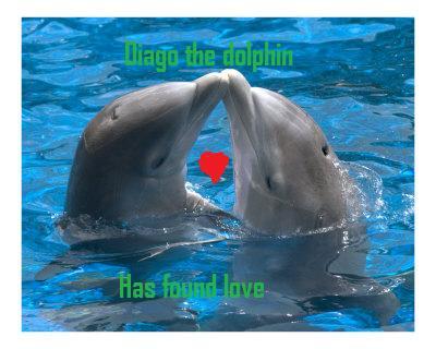 Diago and Danni <3