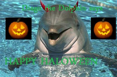 Happy Haloween from Diago the dolphin