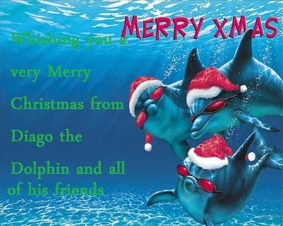 Merry christmas from Diago the dolphin