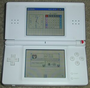 Nintendo D.S.