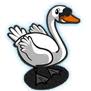 swan