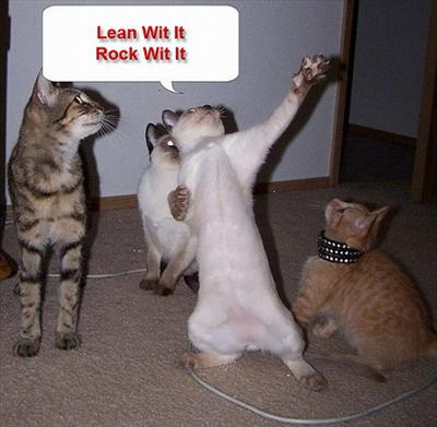 cats