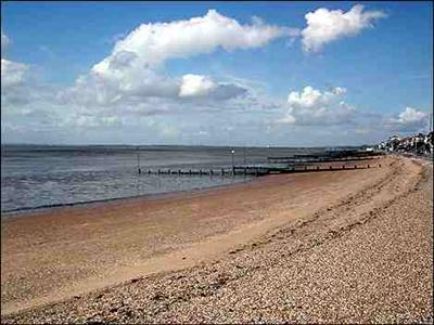 Shingle & Rocks