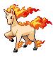 Rapidash