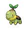 Turtwig