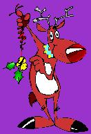 Cheeky Reindeer!