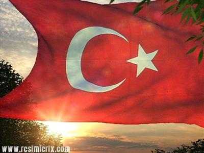 RESMİ