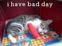 You are going to have a bad day today!