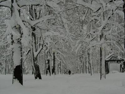 A Snow Day