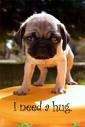 I need you 