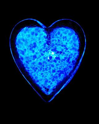 heart