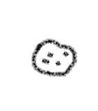 Little Snowball