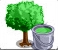 green maple tree