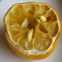 Moldy Lemon