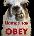 Llama