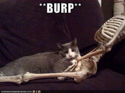 Burp