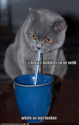 Bubblez