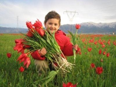 Muşsuz Yaşayamaz