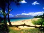 I'm at the beach