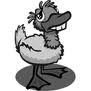 Ugly Duckling