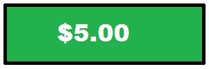 $5.00