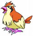 Pidgey