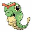 Caterpie