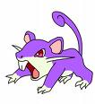Rattata