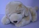 Gray Puppy