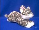 Zebra Kitty