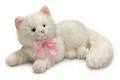 Sweet White Kitty