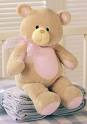 Teddy in Pink