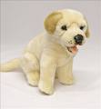 White Puppy
