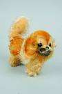 Orange Puppy