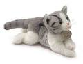 White and Gray Kitty