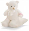 Sweet White Teddy