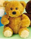 Surprised Teddy