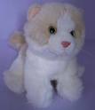 Very Cute Kitty