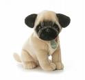 Bulldog Puppy