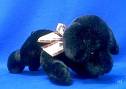 Black Puppy