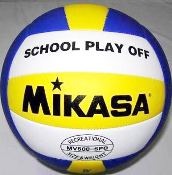 Voleybol Topu