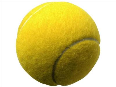 Tenis Topu