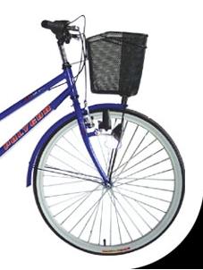 PELEK SEPEDA MINI