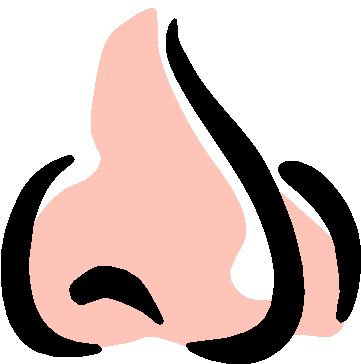 Nose.