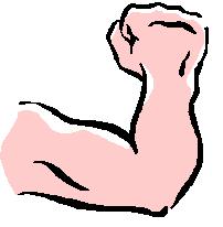 Arm.