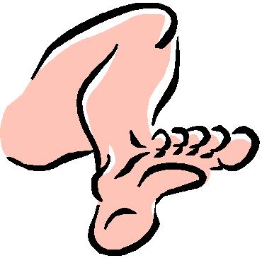 Leg.