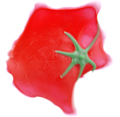 A tomato splat